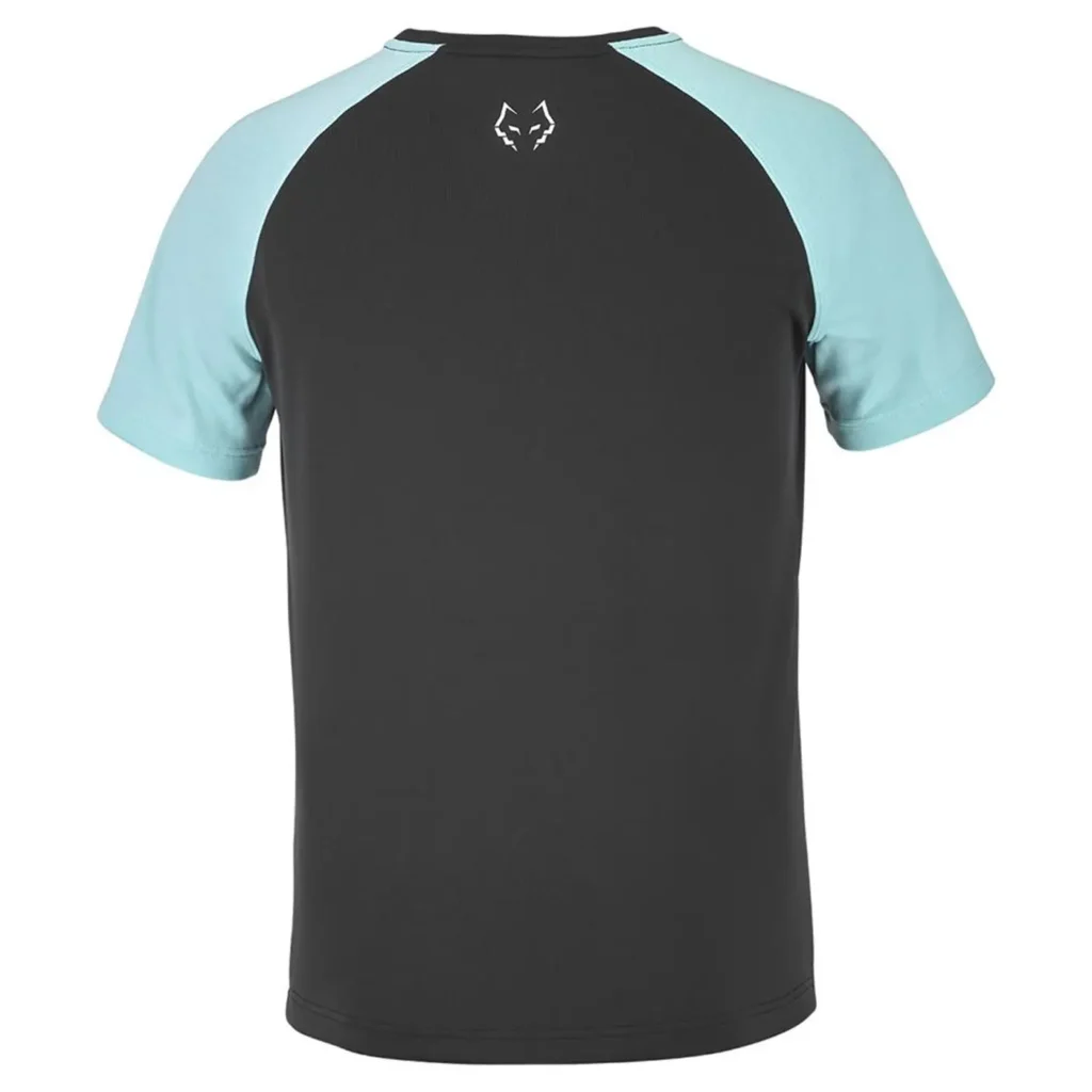 Babolat padel shirt for men, CREW NECK TEE LEBRON, lebron shirt Image 2